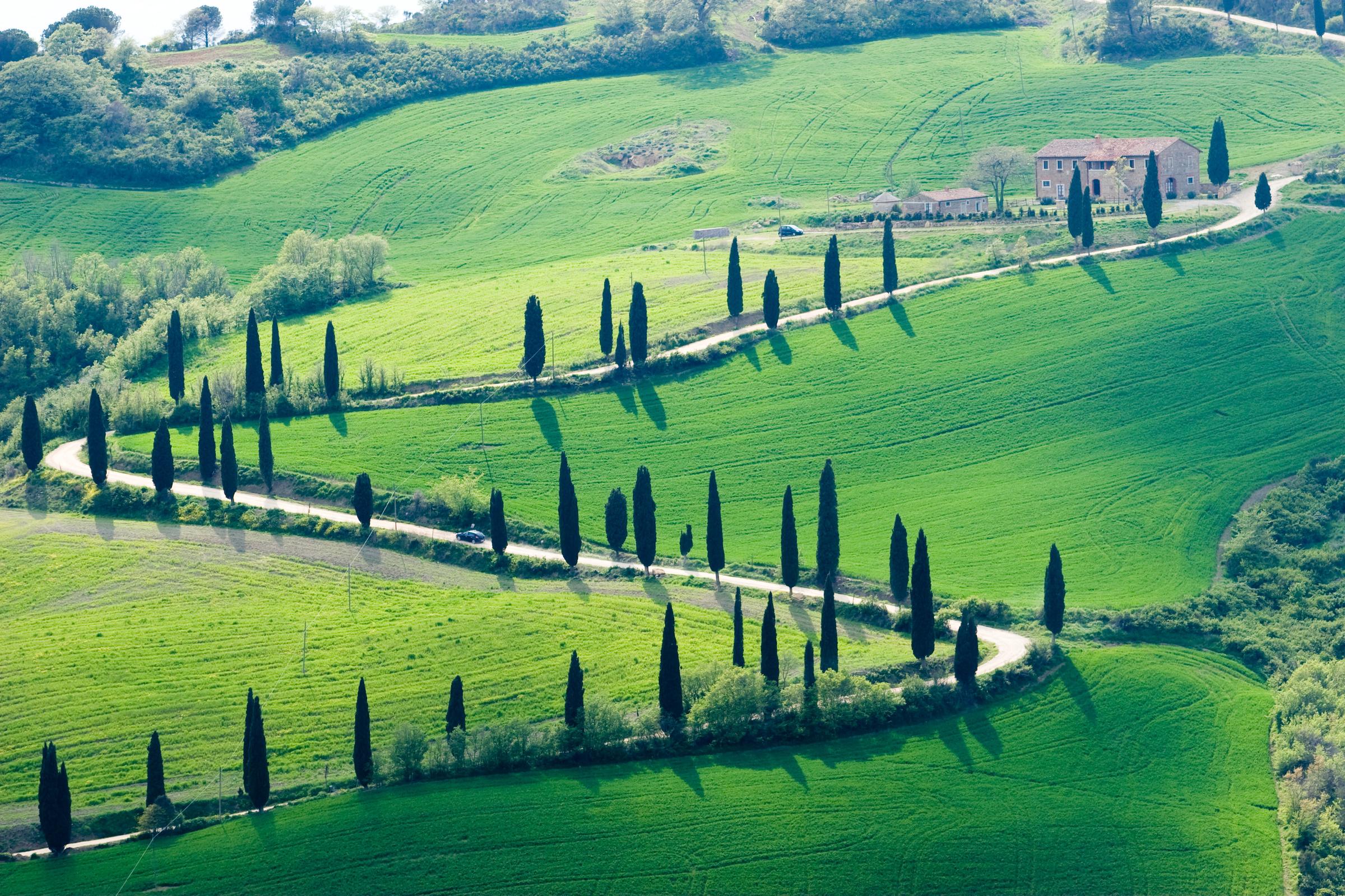 Estrada sinuosa com ciprestes entre colinas verdes da Toscana, na Itália